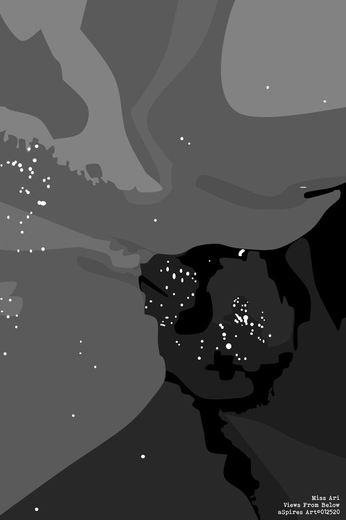 Views From Below (2019)