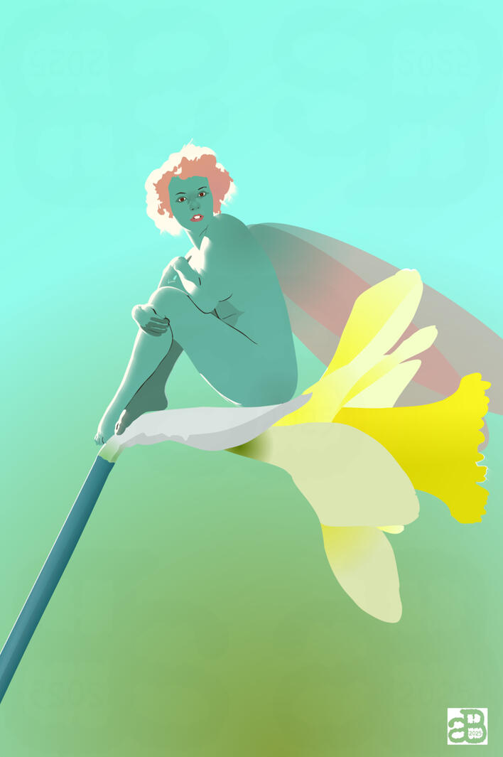Narcissus